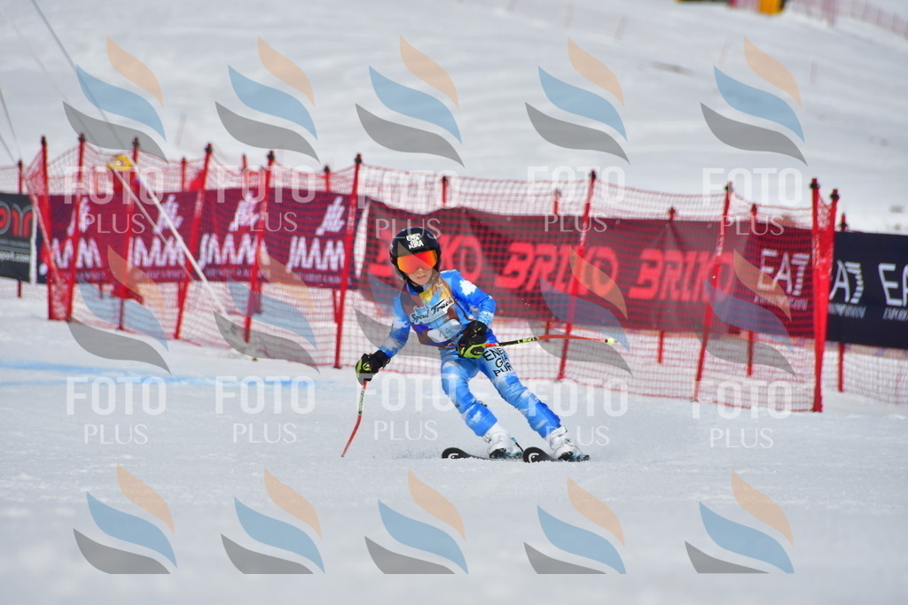 _DSC6809 | holidayphoto