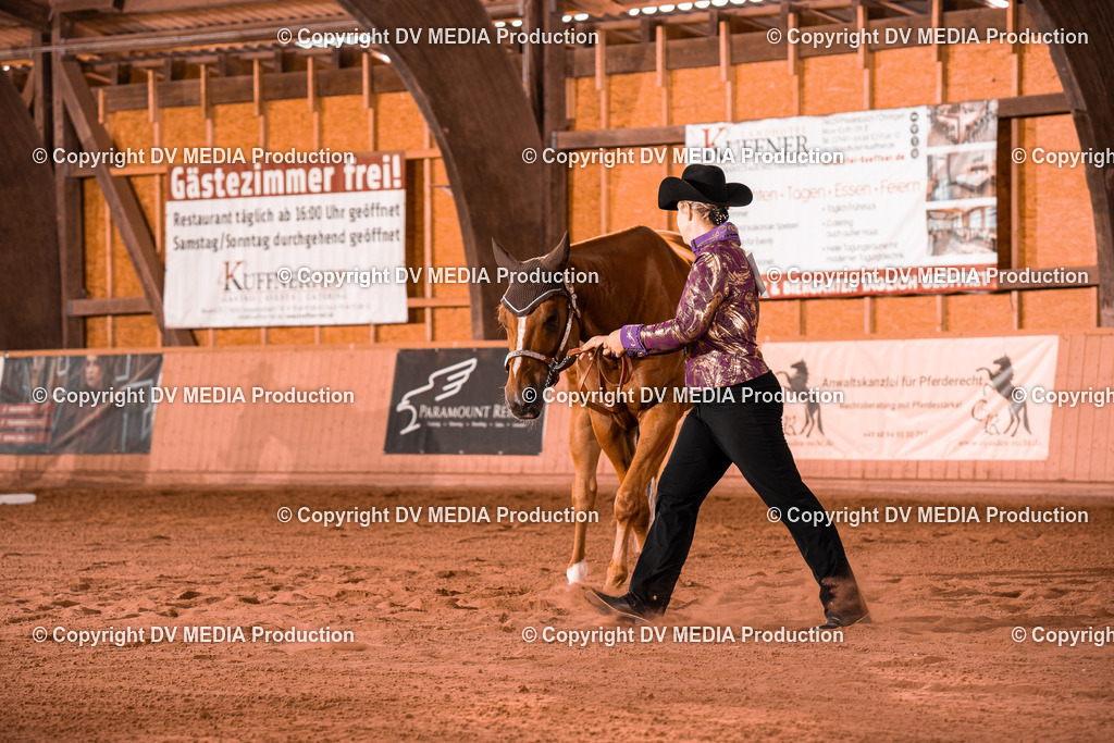 NE100096 | dv-media-shop - Realisiert mit Pictrs.com