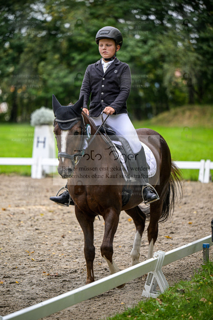 FOTO OGER | Entdecke hochwertige Reitturnierfotos von Foto Oger. Professionell, emotional und authentisch – jetzt Lieblingsmomente im Shop bestellen. - Realisiert mit Pictrs.com