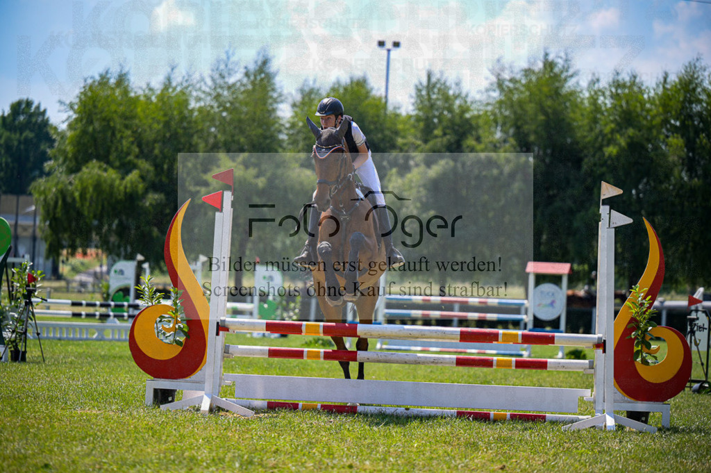 Reitturnier Voxtrup | Entdecke hochwertige Reitturnierfotos von Foto Oger. Professionell, emotional und authentisch – jetzt Lieblingsmomente im Shop bestellen.Deutschlandweite Turnierfotografie. - Realisiert mit Pictrs.com