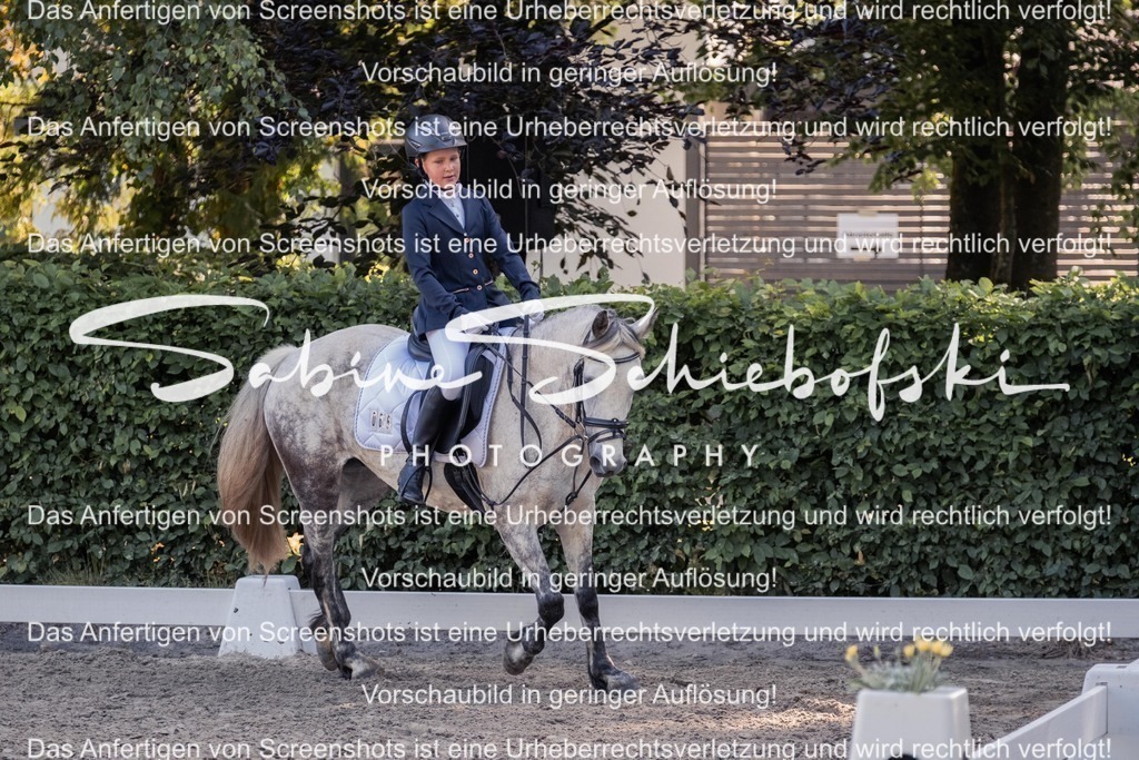 2025_05_31_DSCF2794 | People- und Tierfotografie, Imageaufnahmen, Veranstaltungsfotografie und Wandbilder aus der Natur ★ Made in Germany ✔️ Druck + Downloads ✔️ Naturfotografie in Top Qualität ★ schneller Versand, weltweite Lieferung! - Realisiert mit Pictrs.com