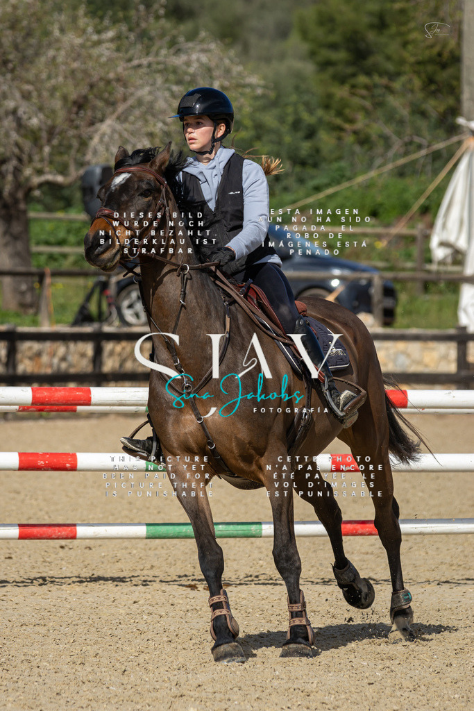 IMG_6754 | s-jay-photography - Realisiert mit Pictrs.com