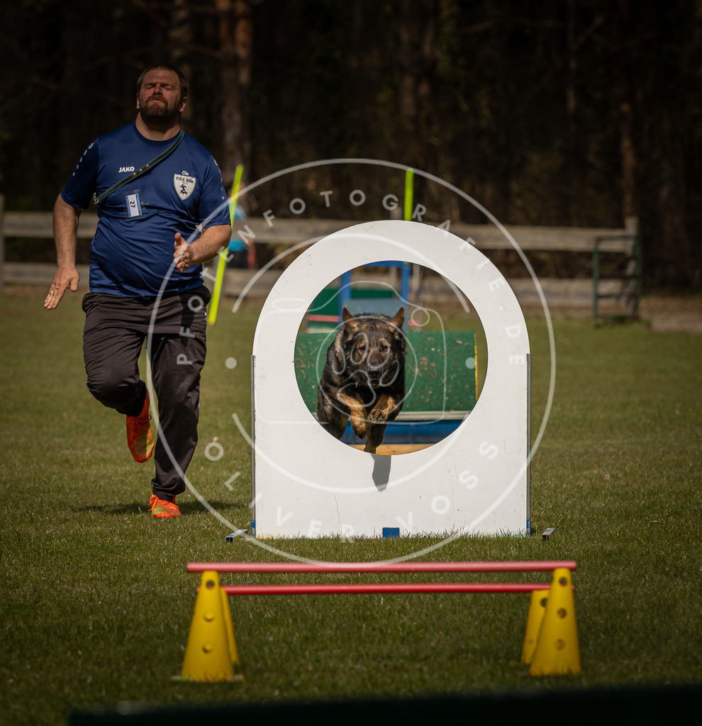 Pfotenfotografie_DV3A5723 | Hundefotografie, Tierfotograf, Pfotenfotografie, Fotoshooting Hund, Hunde Portrait, Hundesport, Hundeportraits, Heideshooting, Hunde, Sportfotograf, Hundefotograf, Turnierhundsport, THS,  - Realisiert mit Pictrs.com