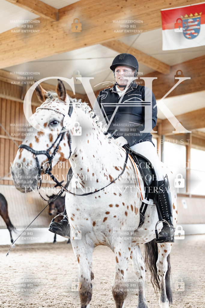 CK901233 | Turnierfotografie Pferdefotografie Trier Rheinland-Pfalz Pferdesport Reitsport Tierfotografie Sportfotografie Pferdevideo Pferdevideografie Equestrianvideography equestrianphotography  - Realisiert mit Pictrs.com
