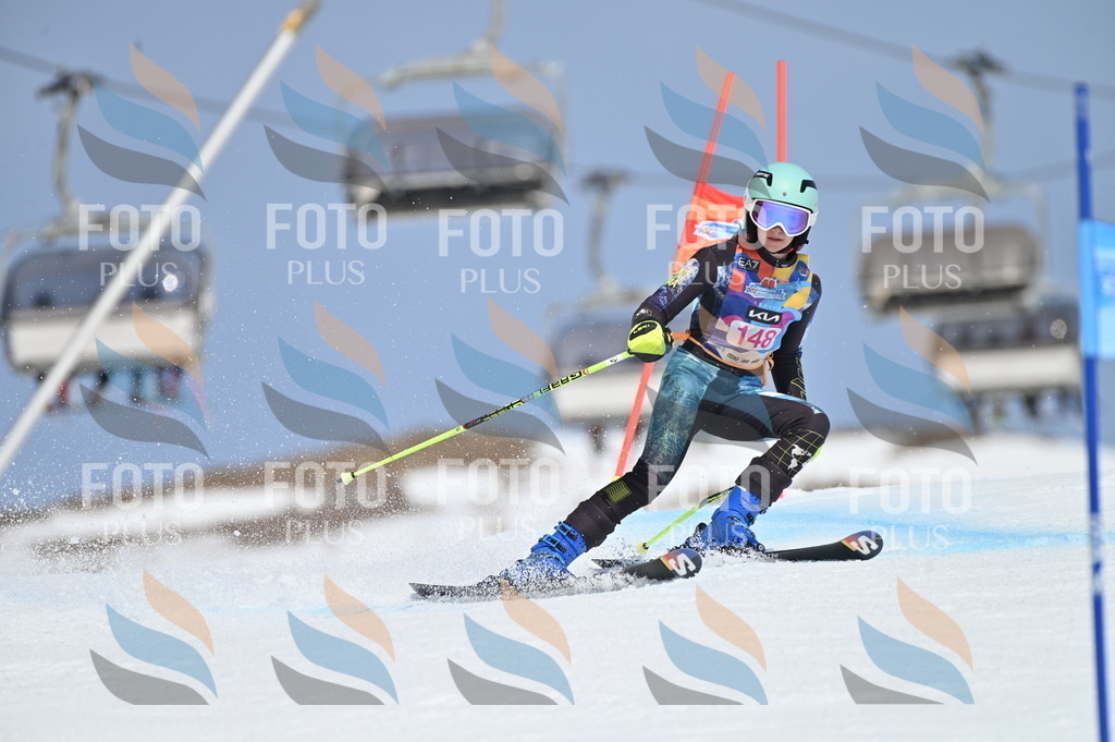 BGV_0007 | holidayphoto