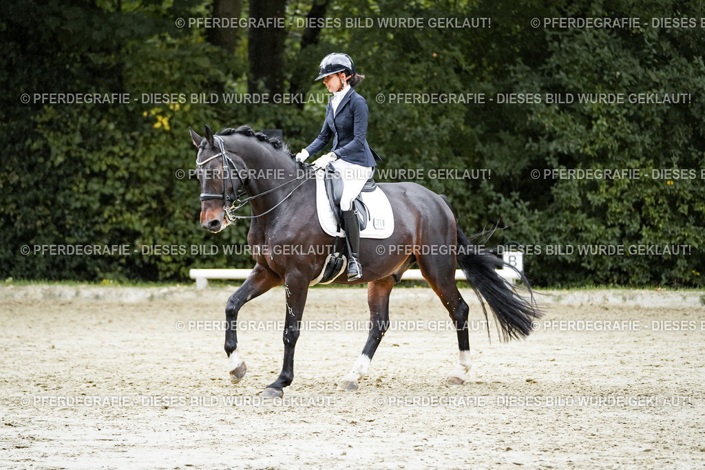 DSC00607 | Pferdegrafie