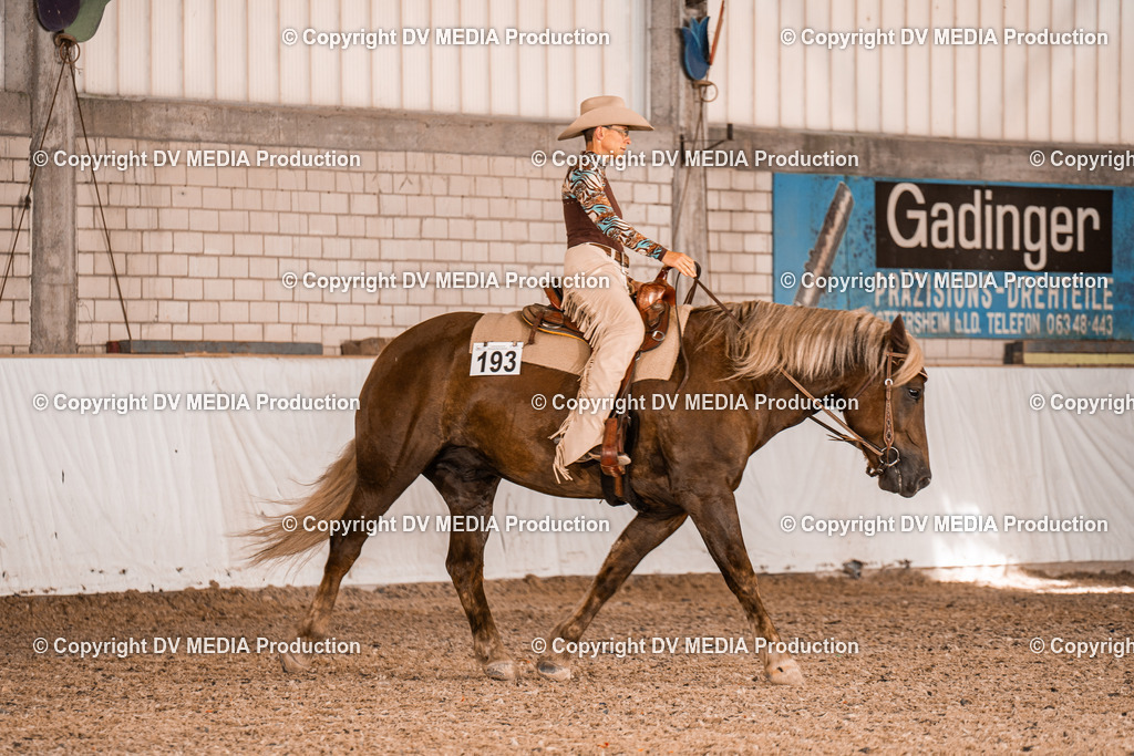 ZH100071 | dv-media-shop - Realisiert mit Pictrs.com