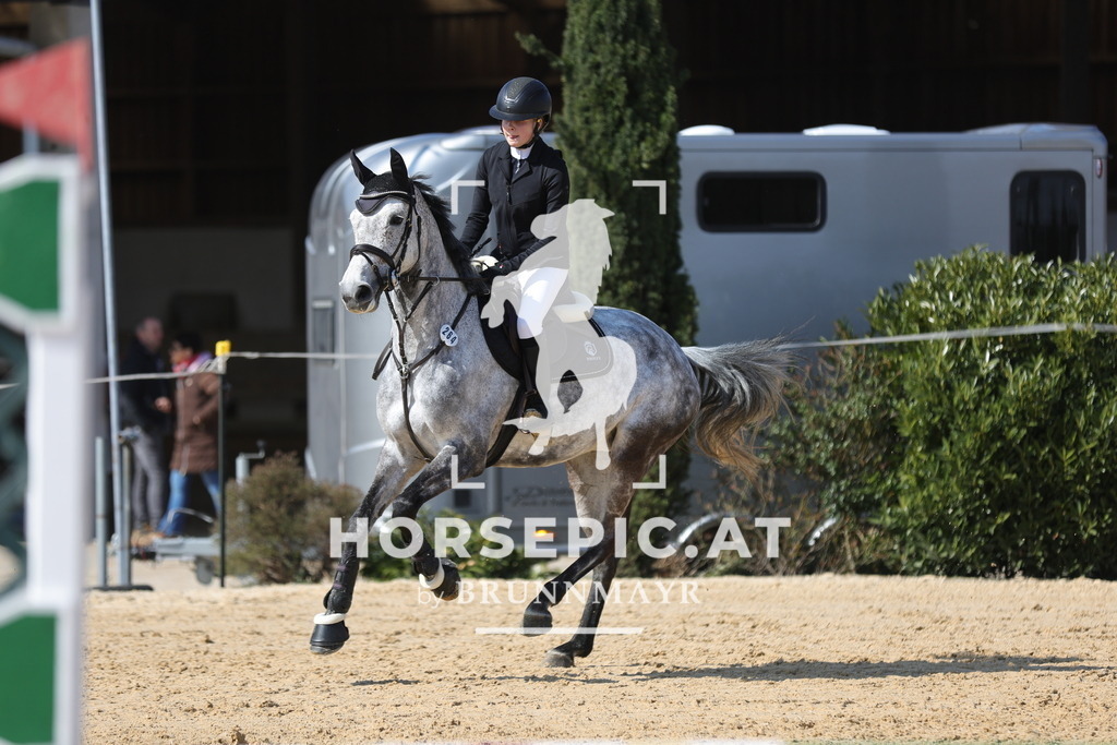 0P6A6831 | Willkommen bei Brunnmayr - Design & Fotografie – Ihrem Spezialisten für Reitturniere und Pferdeveranstaltungen in Oberösterreich, Salzburg und Bayern! Seit über 17 Jahren sind wir leidenschaftlich dabei.