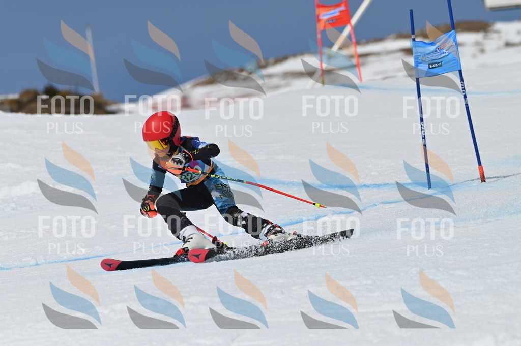 BGV_6527 | holidayphoto