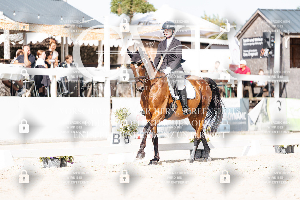 CK905749 | Turnierfotografie Pferdefotografie Trier Rheinland-Pfalz Pferdesport Reitsport Tierfotografie Sportfotografie Pferdevideo Pferdevideografie Equestrianvideography equestrianphotography  - Realisiert mit Pictrs.com