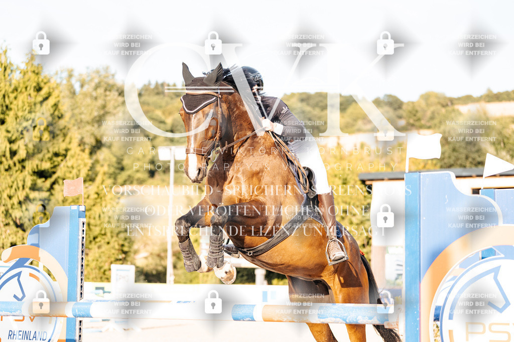 CK903531 | Turnierfotografie Pferdefotografie Trier Rheinland-Pfalz Pferdesport Reitsport Tierfotografie Sportfotografie Pferdevideo Pferdevideografie Equestrianvideography equestrianphotography  - Realisiert mit Pictrs.com