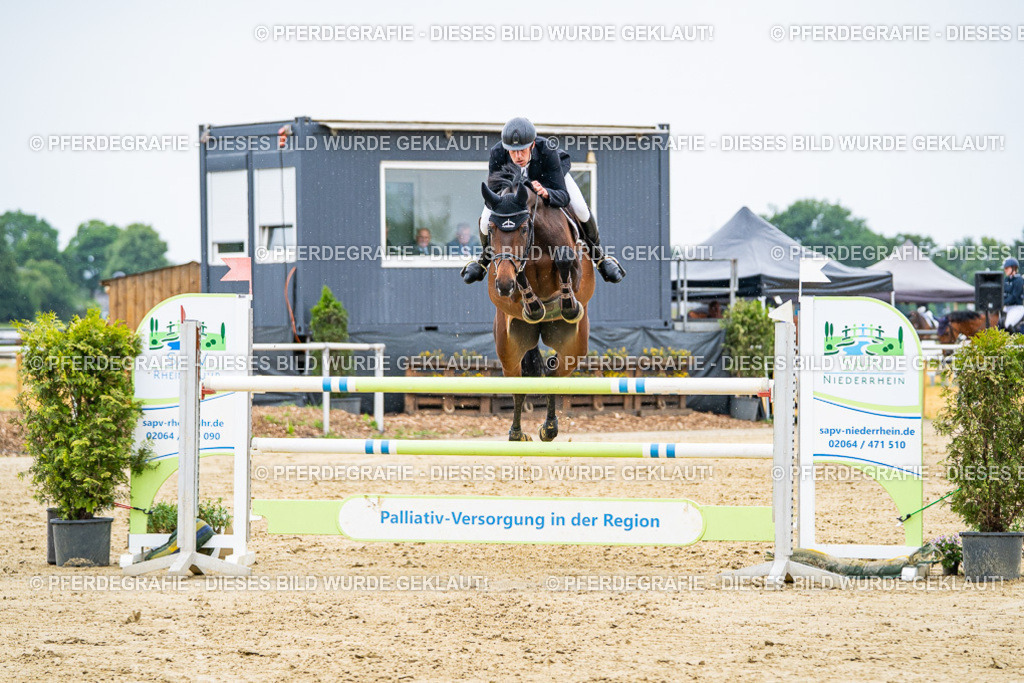 DSC07265 | Pferdegrafie