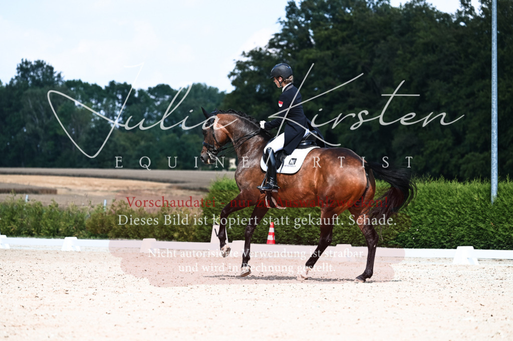 DSC_3107 | Pferde- und Turnierfotografie in Westsachsen. Pferdeportraits, Auftragszeichnungen und intuitive Kunst.