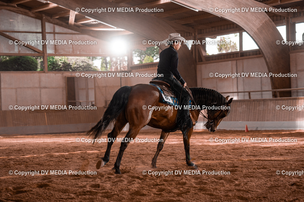 NE100397 | dv-media-shop - Realisiert mit Pictrs.com