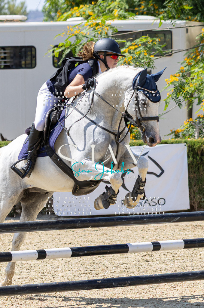 IMG_0165 | s-jay-photography - Realisiert mit Pictrs.com