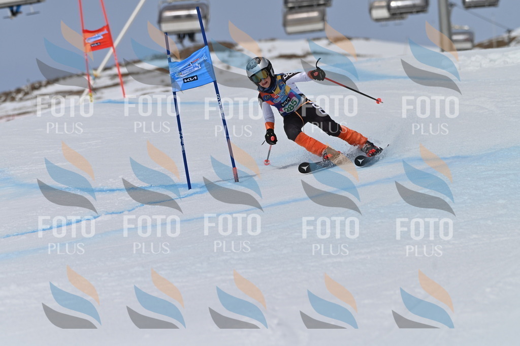 BGV_5681 | holidayphoto