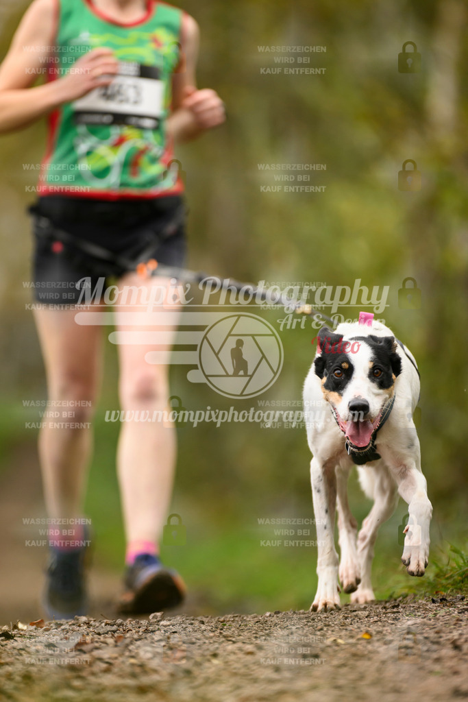 MompixPhotography_20TSB_E6_Run-196 | PayLife