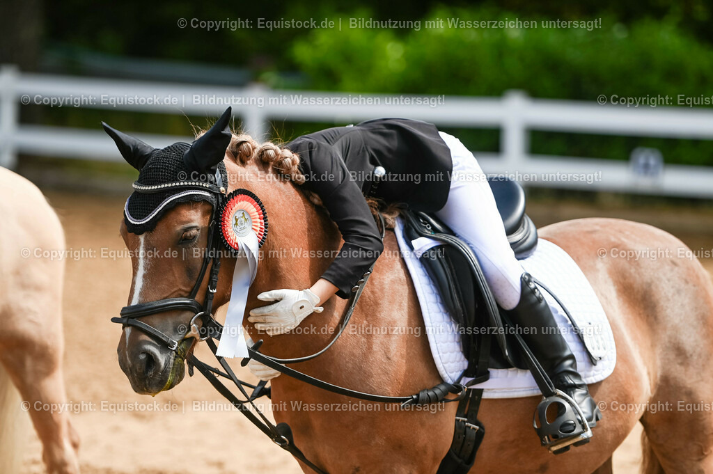 20230716_10-3_Reiter-WB Schritt - Trab - Galopp_0236 | equistock