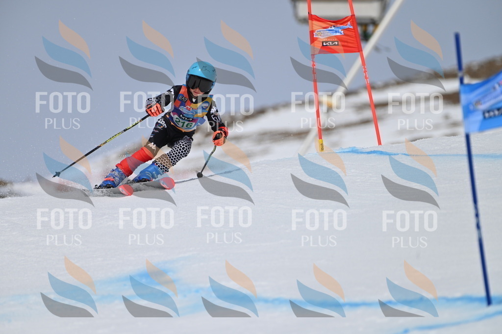 BGV_4196 | holidayphoto