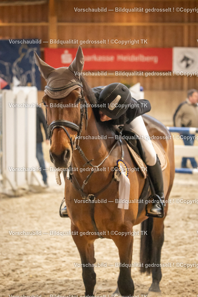 _D5A8456 | Emotionale Pferde- & People-Fotografie rund um Heidelberg, Leimen & Umgebung. Natürliche Fotos von Pferd, Mensch & Familie. Jetzt Termin sichern!