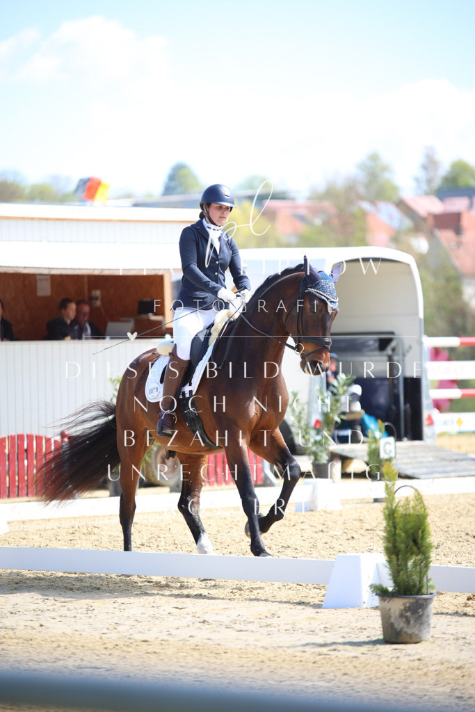 IMGT1901 | pl-fotografie