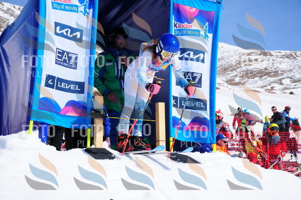 DSC_4429 | holidayphoto