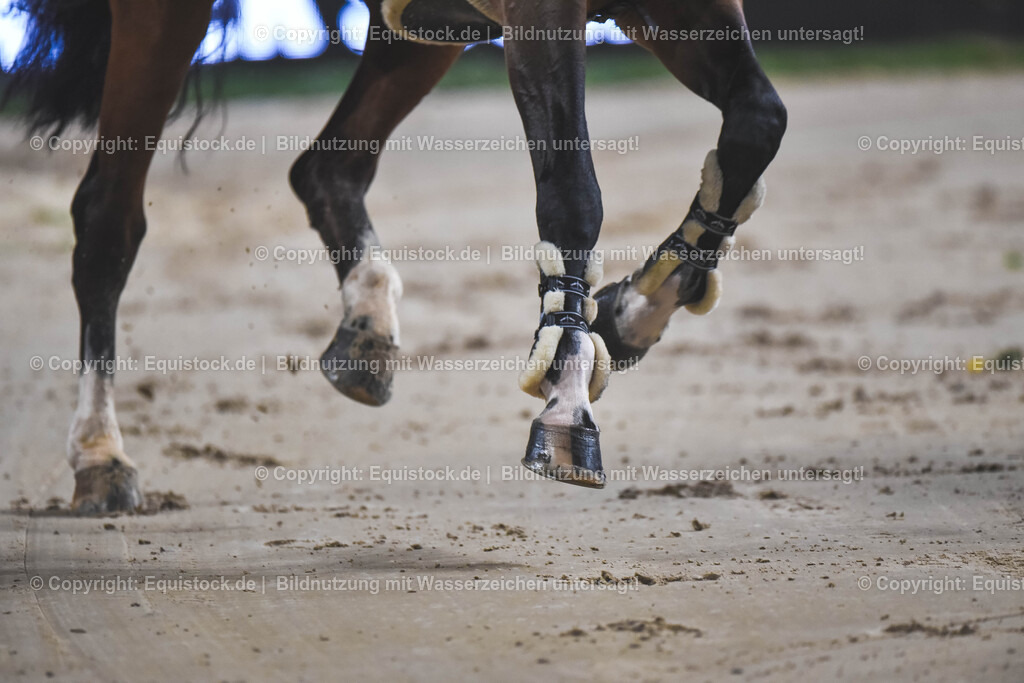 20251115_Ensinger-Ponies-Trophy_TOMSPIC_0043 | Foto: Thomas Hartig