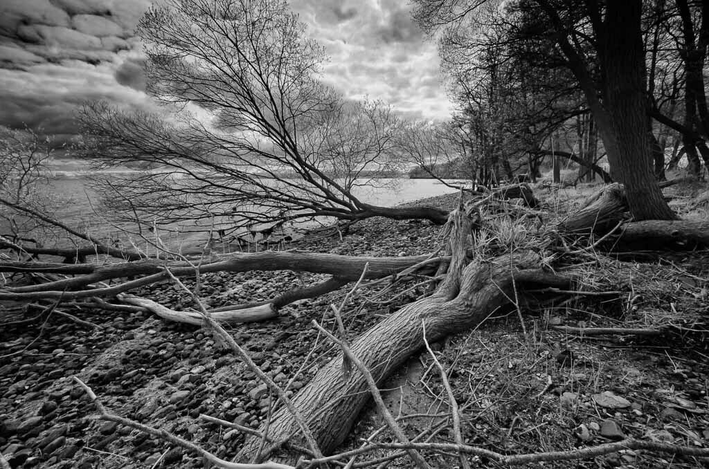 deutschland-2017-025 | Südlich von Bockholm, einem Ortsteil der Stadt Glücksburg an der Flensburger Förde, beeindruckt die Landschaft mit einem wilden, fast unberührten Abschnitt der Ostseeküste. Das Gebiet steht seit Ende 2015 unter Naturschutz. - Realisiert mit Pictrs.com