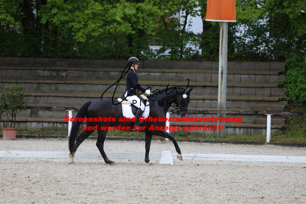 A40A9755 | lmwpictures - Realisiert mit Pictrs.com