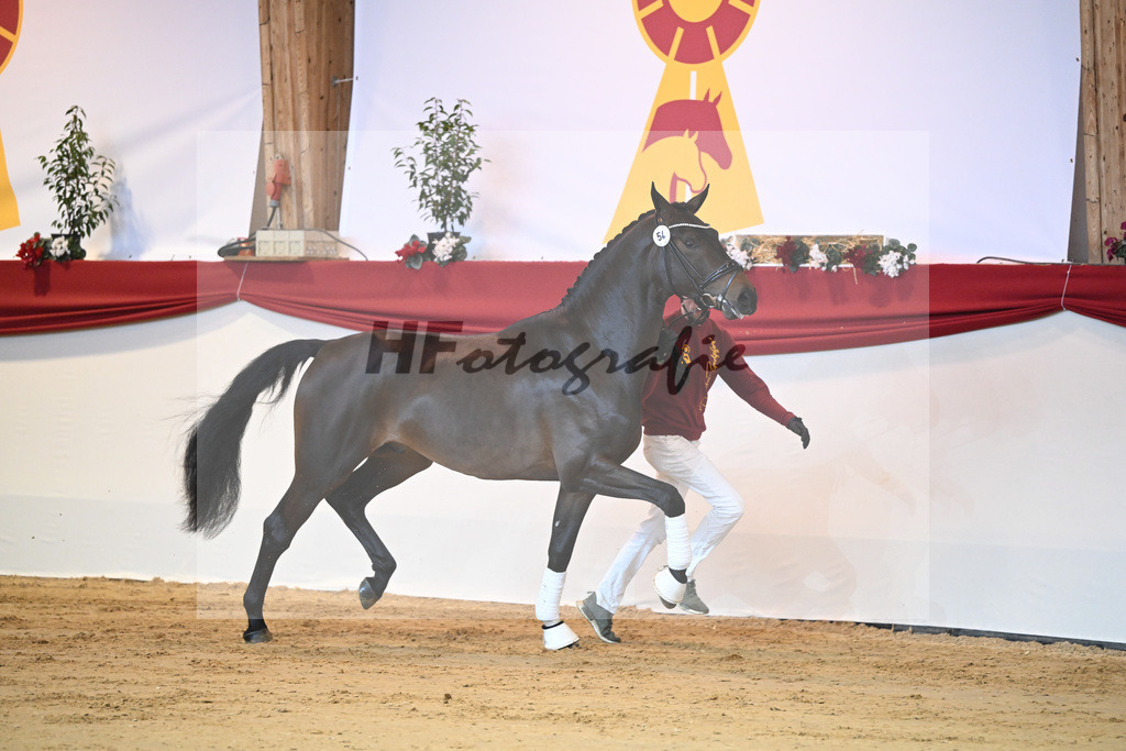 Kat-Nr. 54 Feinrich_Ruediger_1231358 | hf-fotografie - Realisiert mit Pictrs.com