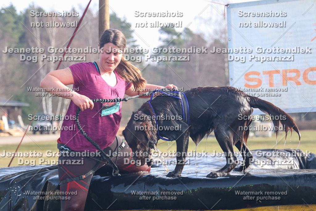 Dog Paparazzi - Strongdog North Mrz26-635 | Dog Paparazzi Jeanette Grottendiek Fotografie & Videografie - Realisiert mit Pictrs.com