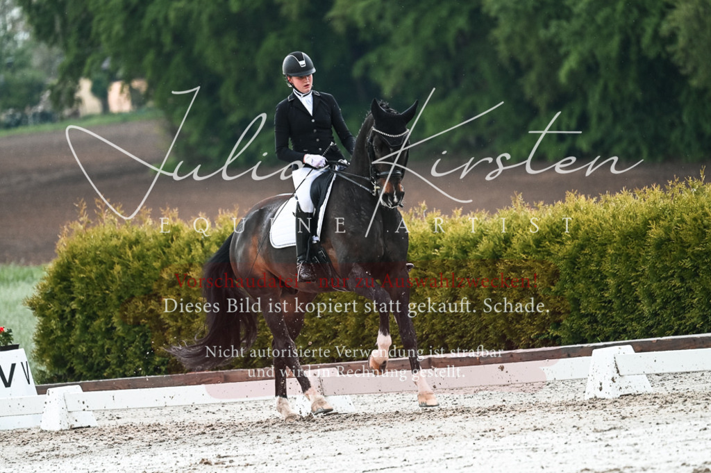DSC_4354 | Pferde- und Turnierfotografie in Westsachsen. Pferdeportraits, Auftragszeichnungen und intuitive Kunst.