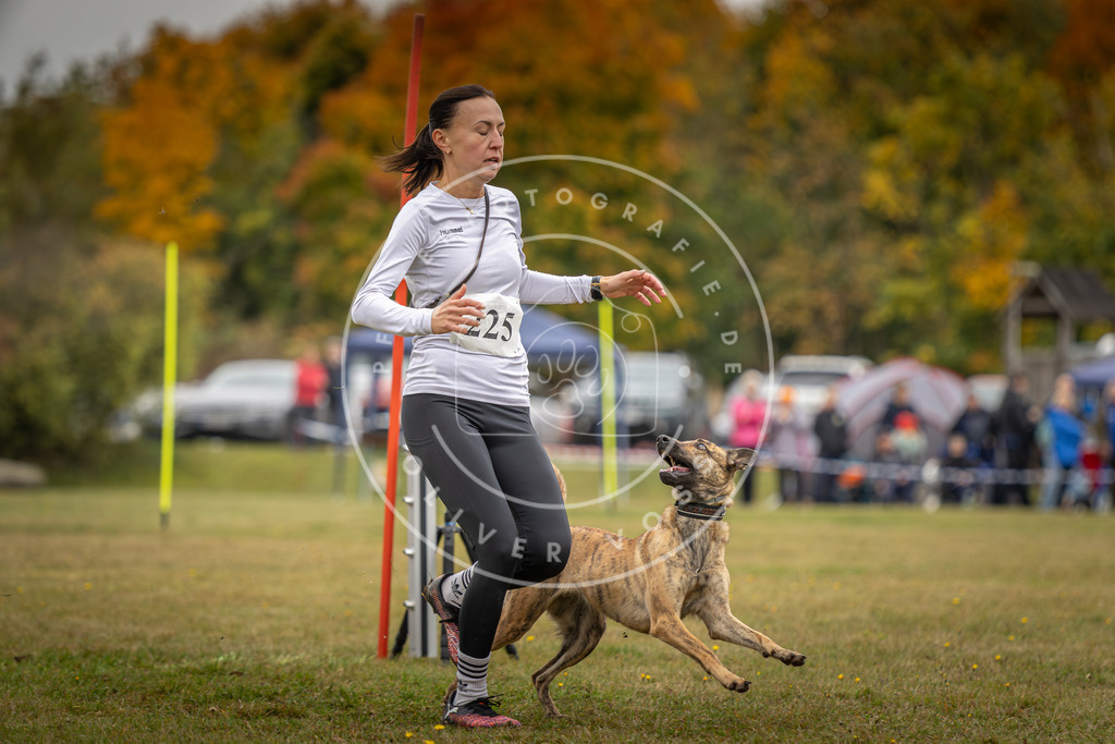 Pfotenfotografie_DV3A3941 | Hundefotografie, Tierfotograf, Pfotenfotografie, Fotoshooting Hund, Hunde Portrait, Hundesport, Hundeportraits, Heideshooting, Hunde, Sportfotograf, Hundefotograf, Turnierhundsport, THS,  - Realisiert mit Pictrs.com