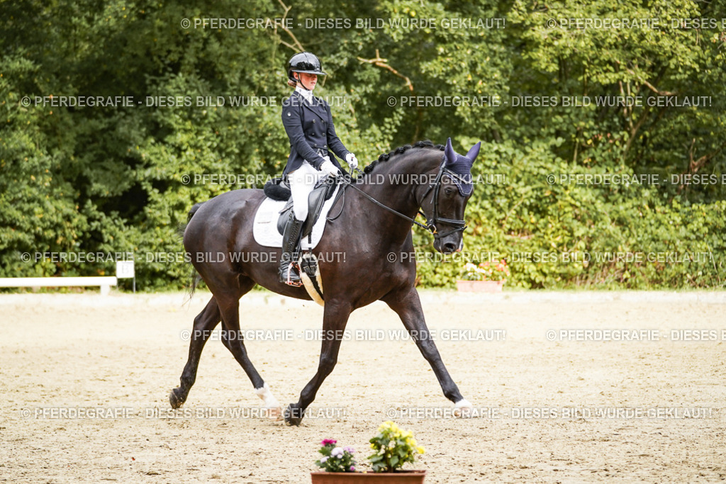 DSC00058 | Pferdegrafie