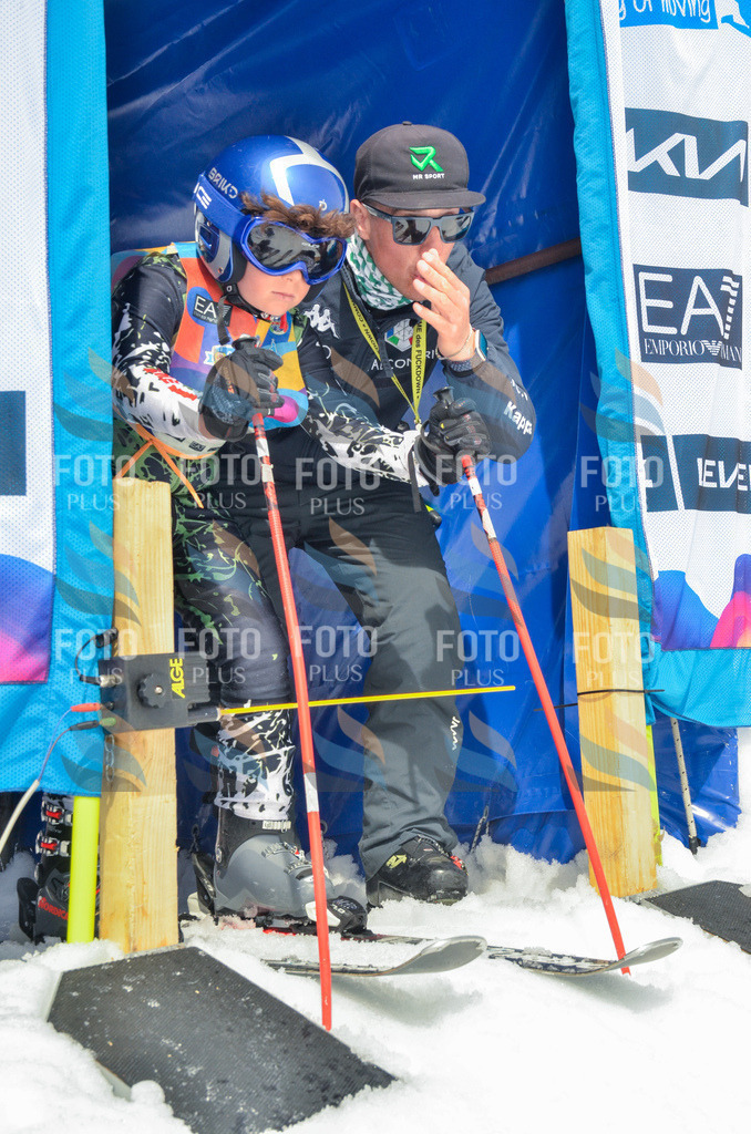 _ELE8216 | holidayphoto