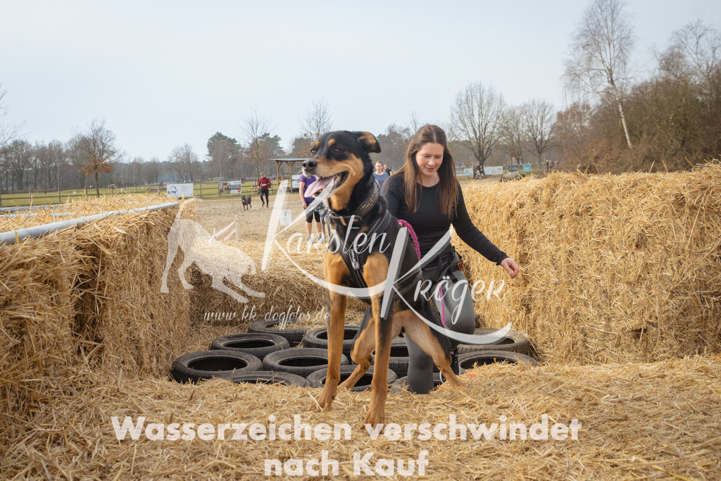 1039_ZZ97109 | kk-dogfotos