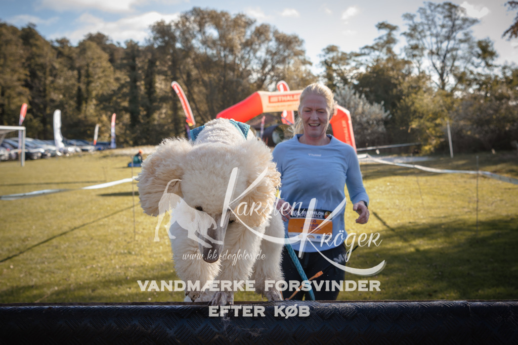 1203_ZZ94368 | kk-dogfotos