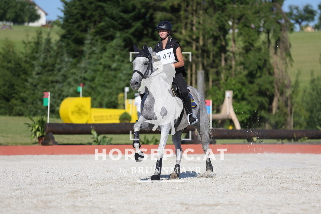 0P6A6933 | Willkommen bei Brunnmayr - Design & Fotografie – Ihrem Spezialisten für Reitturniere und Pferdeveranstaltungen in Oberösterreich, Salzburg und Bayern! Seit über 17 Jahren sind wir leidenschaftlich dabei.