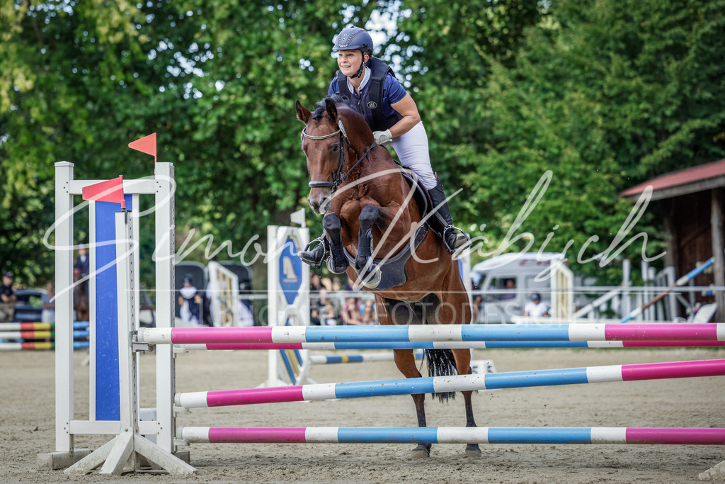 20250906-_3LI5900 | Tierfotografie Pferde, Hunde, Katzen, Haustiere.
Turnierfotografie Reitturniere, Reiten, Springreiten, Dressur in Hanau, dem Main-Kinzig-Kreis und dem Rhein-Main- Gebiet um Frankfurt