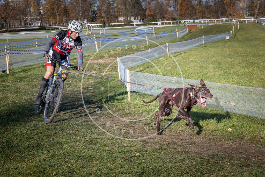 CaniXpix_0L8A6078 | Hundefotografie, Tierfotograf, Pfotenfotografie, Fotoshooting Hund, Hunde Portrait, Hundesport, Hundeportraits, Heideshooting, Hunde, Sportfotograf, Hundefotograf, Turnierhundsport, THS,  - Realisiert mit Pictrs.com