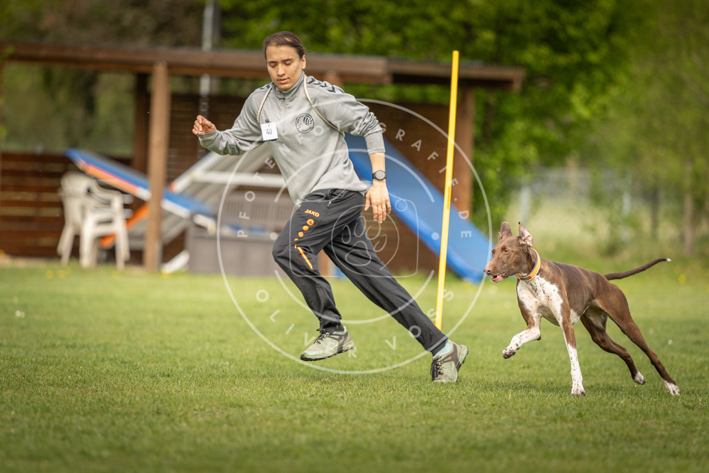 Pfotenfotografie_DV3A5153 | Hundefotografie, Tierfotograf, Pfotenfotografie, Fotoshooting Hund, Hunde Portrait, Hundesport, Hundeportraits, Heideshooting, Hunde, Sportfotograf, Hundefotograf, Turnierhundsport, THS,  - Realisiert mit Pictrs.com