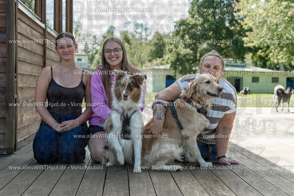 Hundeschwimmen_Volksbad_2026-allesWIRTHgut_Tierfotografie-2609061421-7R501038 | Professionelle Tierfotografie in Mönchengladbach von Daniel Wirth (allesWIRTHgut). Liebevolle & natürliche Bilder von Hunden & Katzen für unvergessliche Erinnerungen.