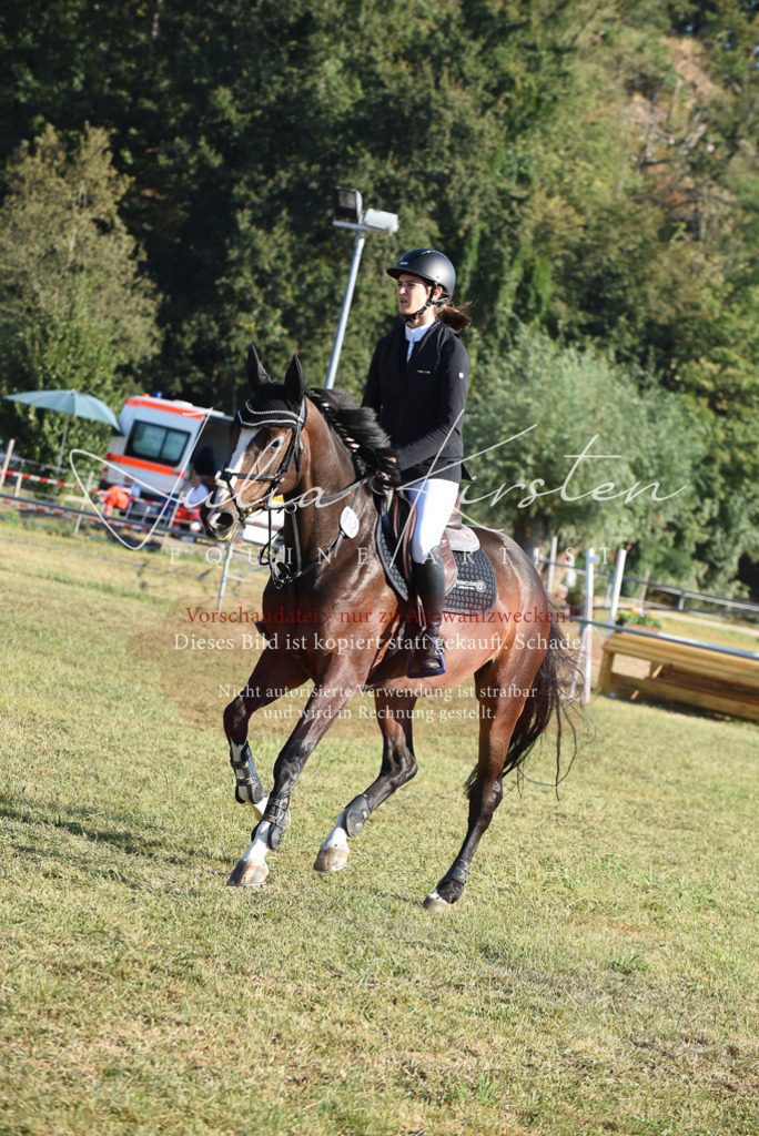 DSC_5136 | Pferde- und Turnierfotografie in Westsachsen. Pferdeportraits, Auftragszeichnungen und intuitive Kunst.