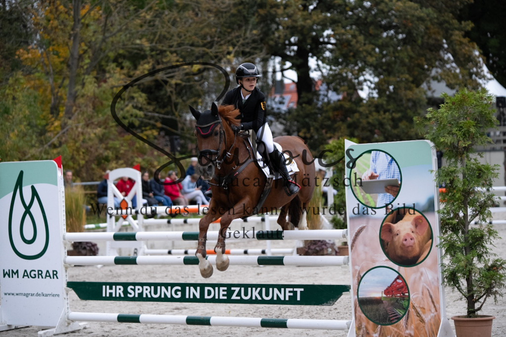 A7V08801 | Turnier/Reitfotograf
