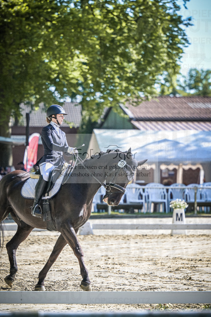 DOS_2877 | Entdecke hochwertige Reitturnierfotos von Foto Oger. Professionell, emotional und authentisch – jetzt Lieblingsmomente im Shop bestellen.Deutschlandweite Turnierfotografie. - Realisiert mit Pictrs.com