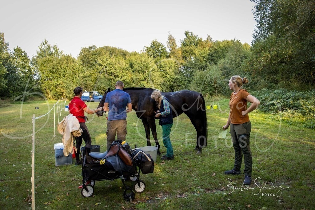DdLH-NU_2025-09-20_04 | Fotografie, Veranstaltungs-Fotografie, Pferde-Fotografie, Landschafts-Fotografie, Reise-Fotografie - Realisiert mit Pictrs.com