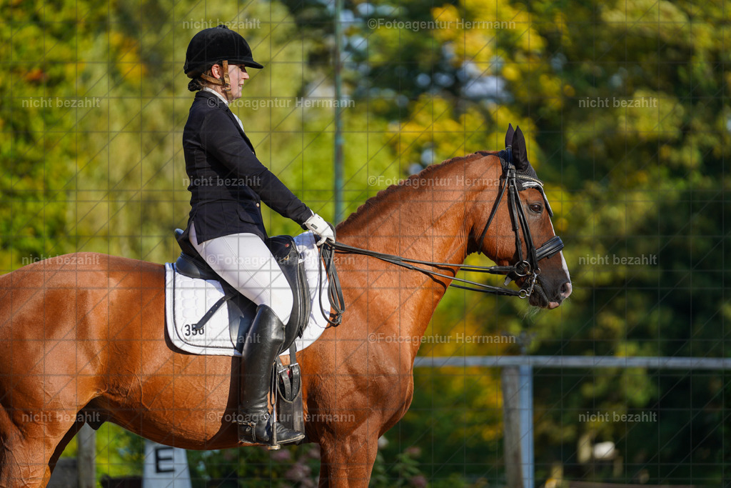 20221007-FAH00224 | Diessen am Ammersee, 2022, Dressur- und Springturnier, Reitsportbilder, Turnierfotografen Bayern, Pferdefotografen, Fotoagentur Herrmann, Turnierbilder