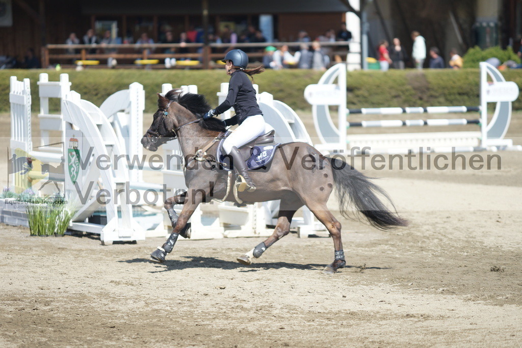 DSC02857 | equestrian-live-com