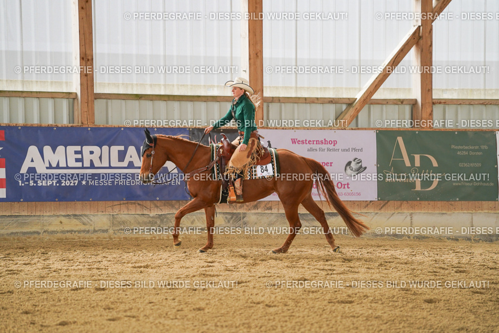 DSC04600 | Pferdegrafie