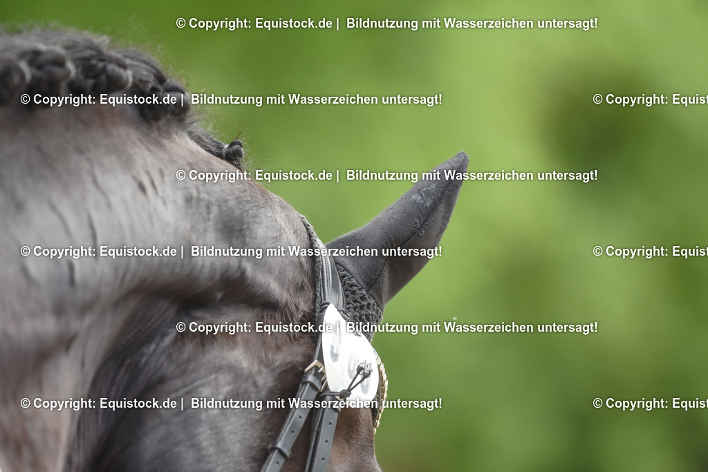 20240519_Voltige_0394 | Foto: Thomas Hartig